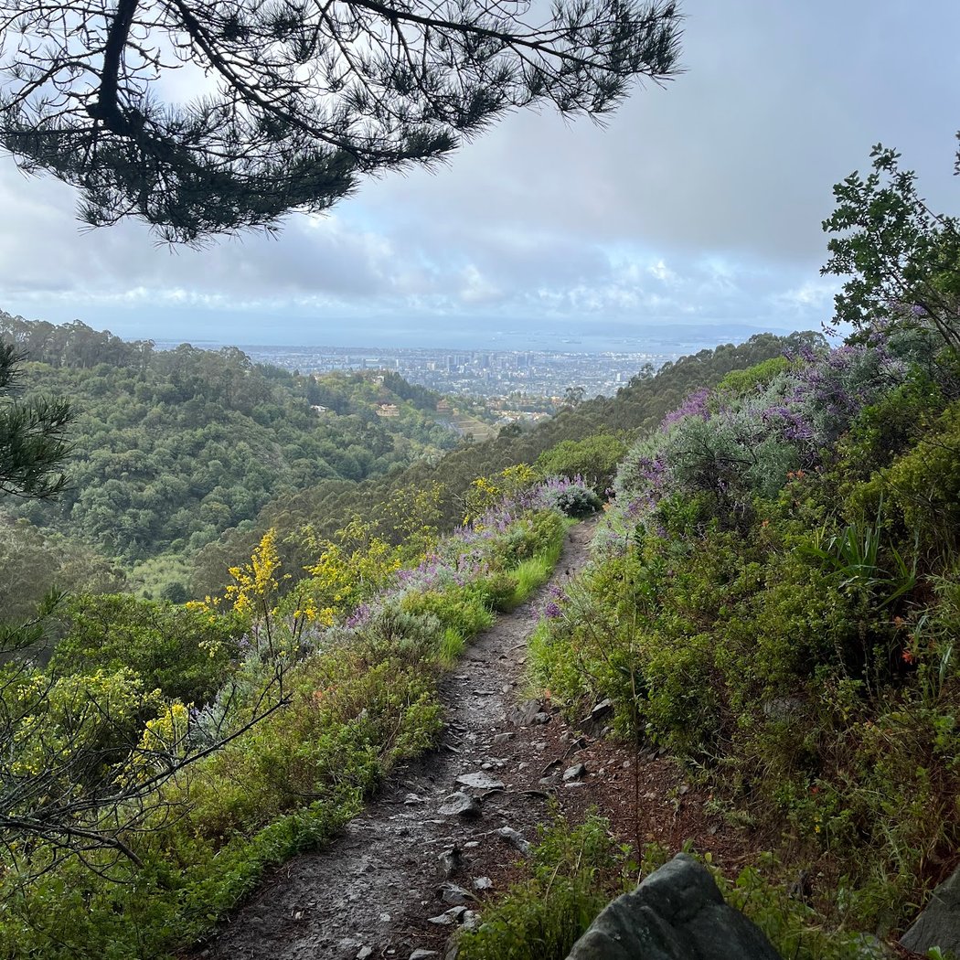 EBMUD De Laveaga trailhead 1