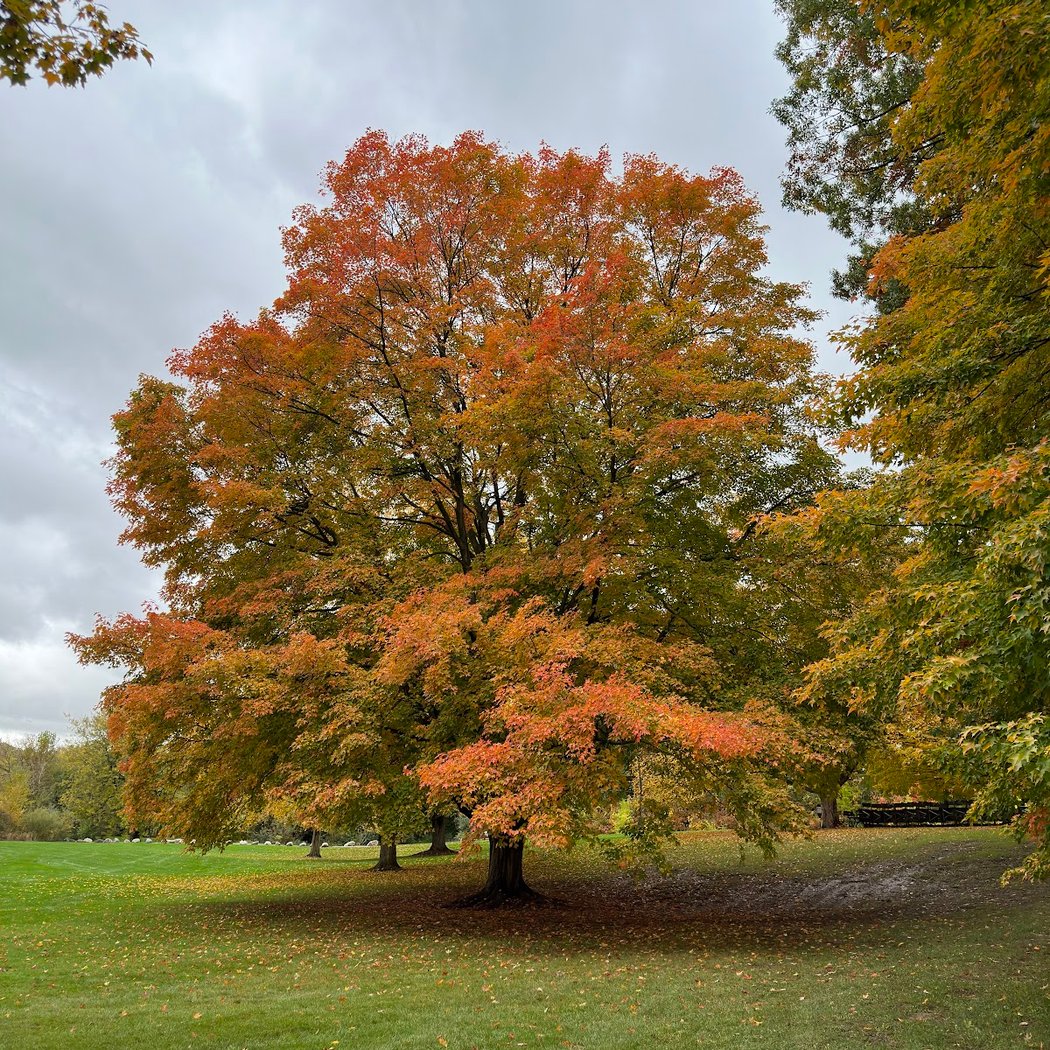 Caledonia Lakeside Park 3