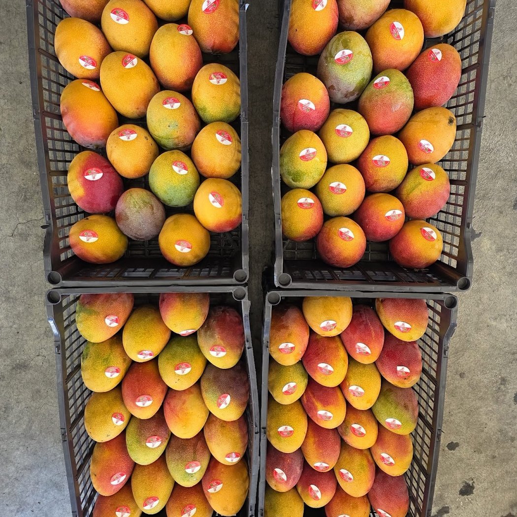El Tomate Market 3
