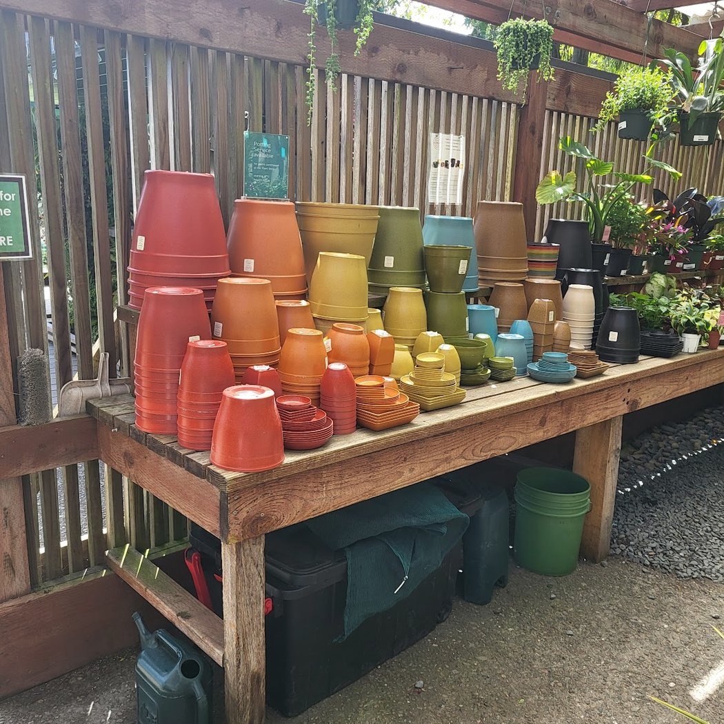 San Francisco Botanical Garden Bookstore 3