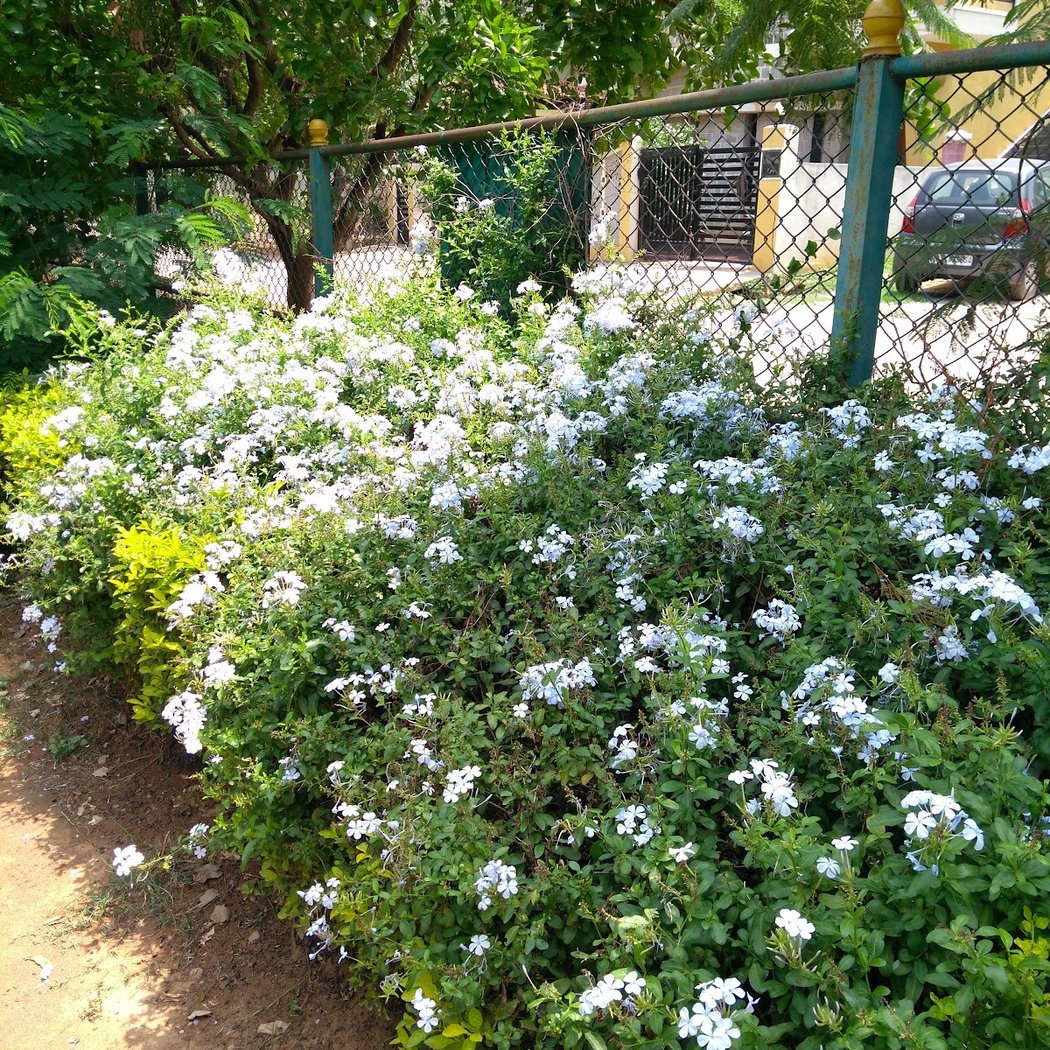 Park 3