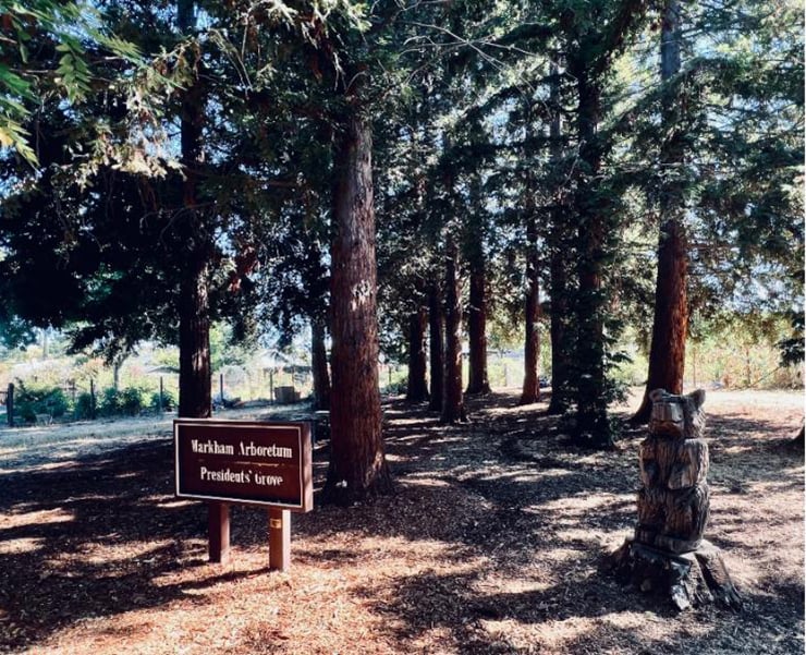 Markham Nature Area 2
