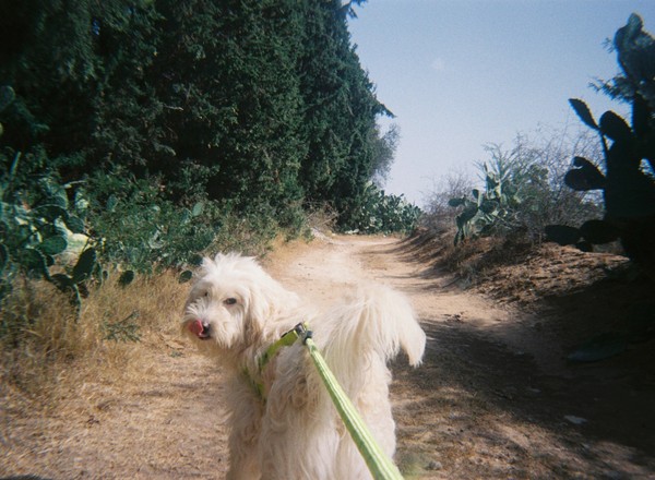 NO OTHER LAND 2