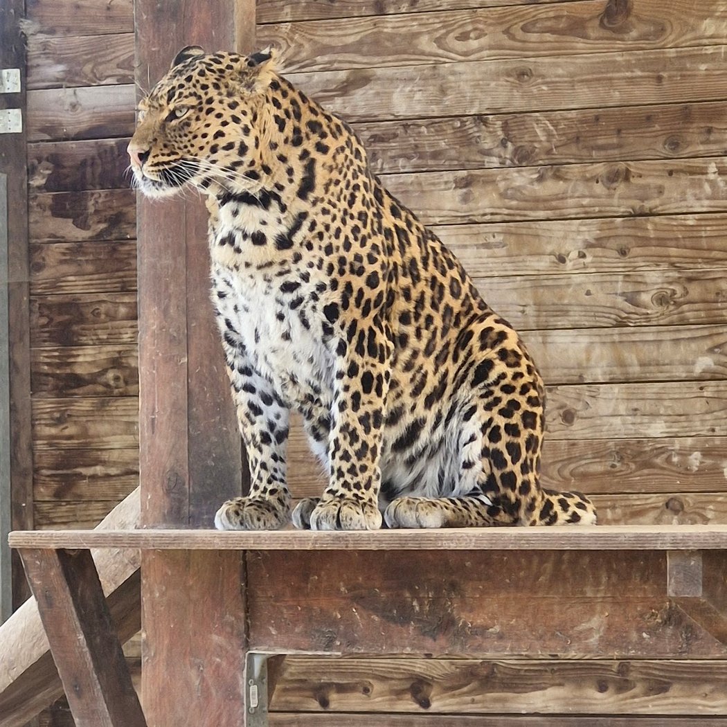 Parc Saint Léger - Parc Animalier 1