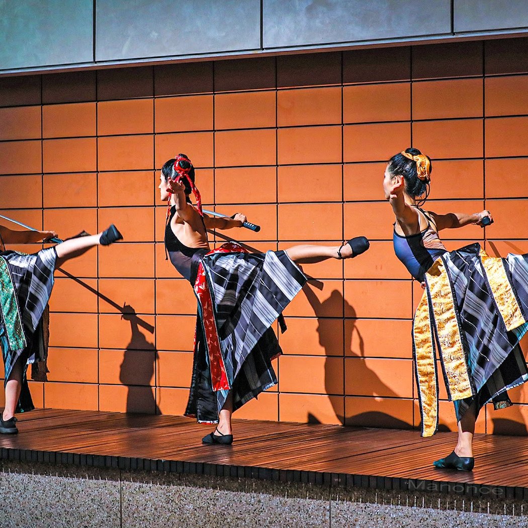 Ninja Ballet 2