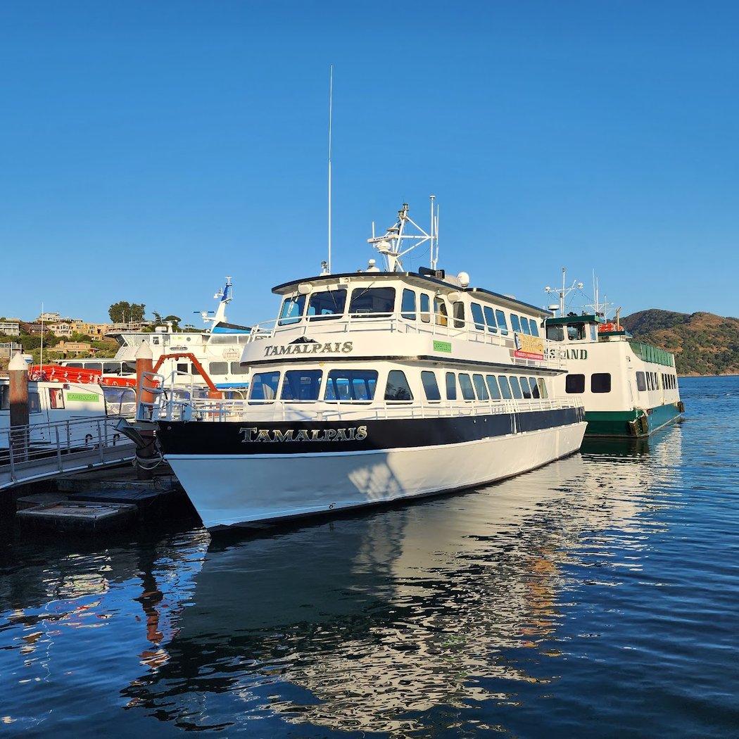 New Year's Eve Fireworks Cruise 1