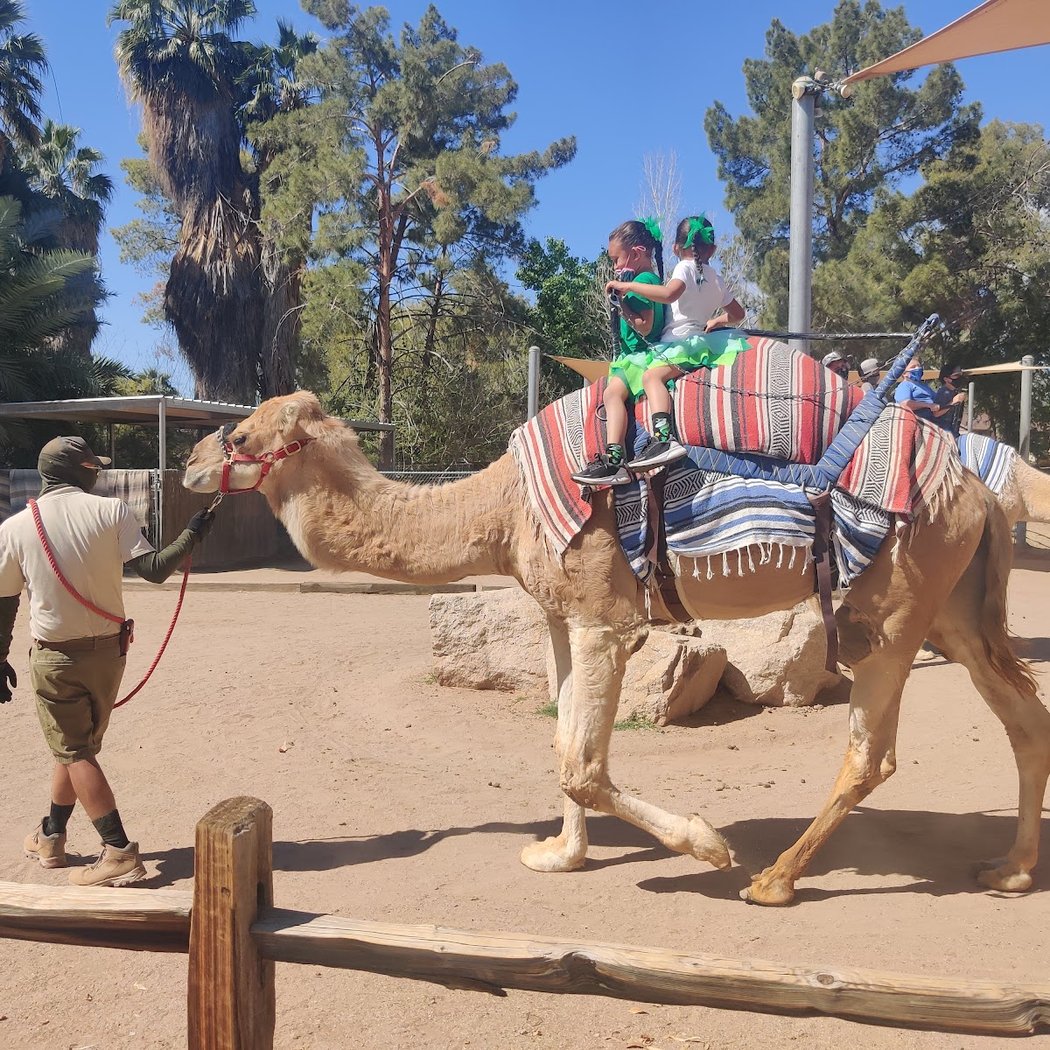 Phoenix Zoo 1