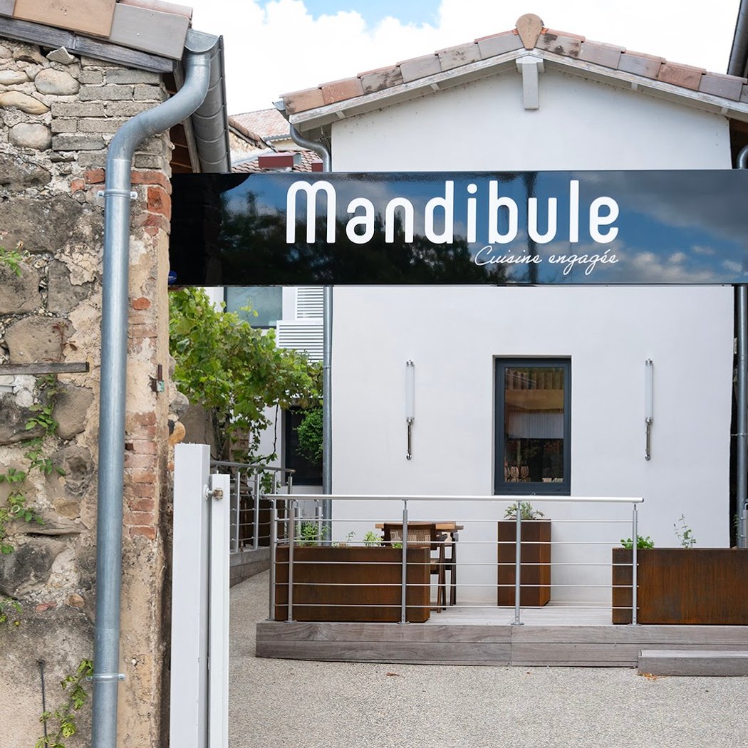 Mandibule 2