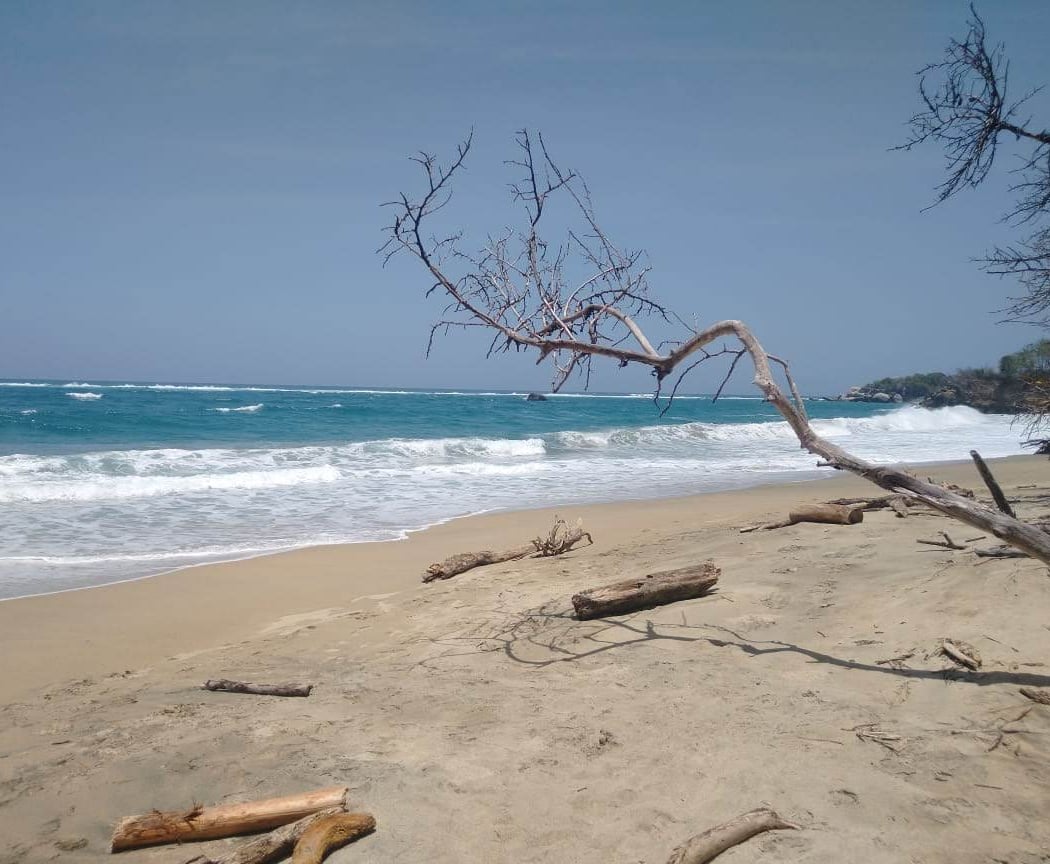 Playa Nudista 3