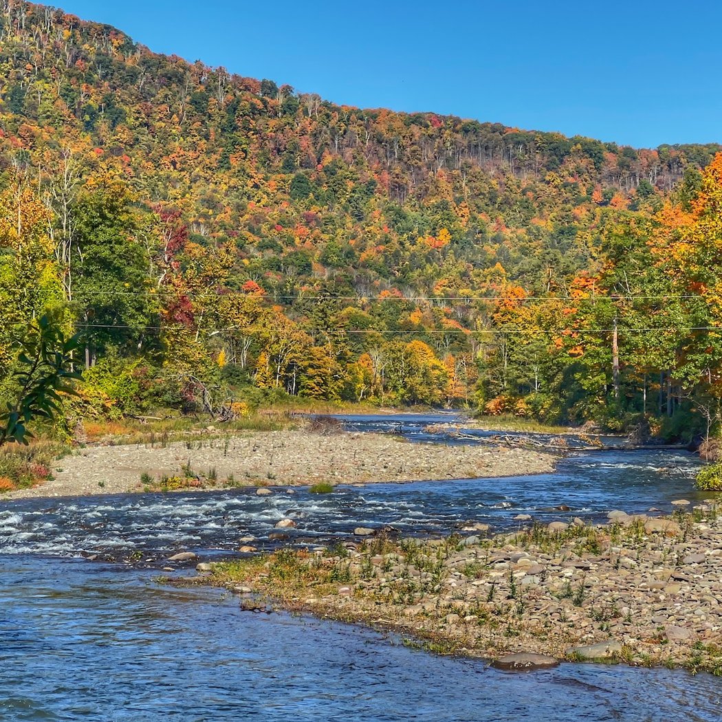 Esopus Creek 1