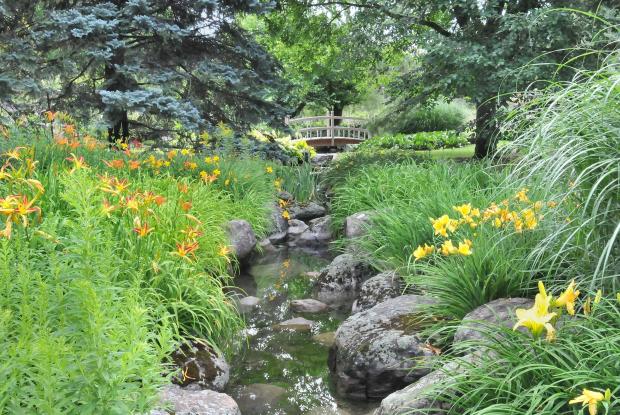 Flowery Brook 3