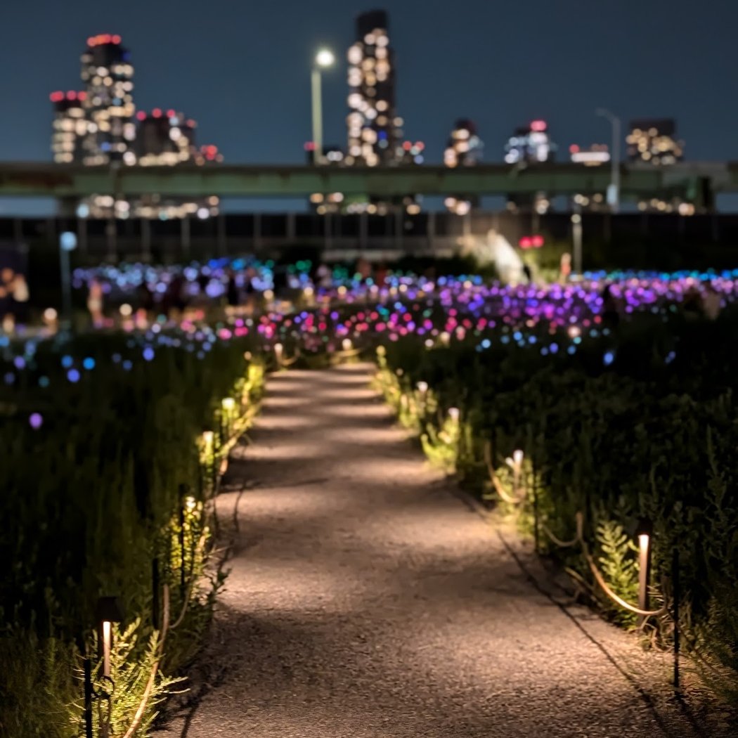 Field of Light