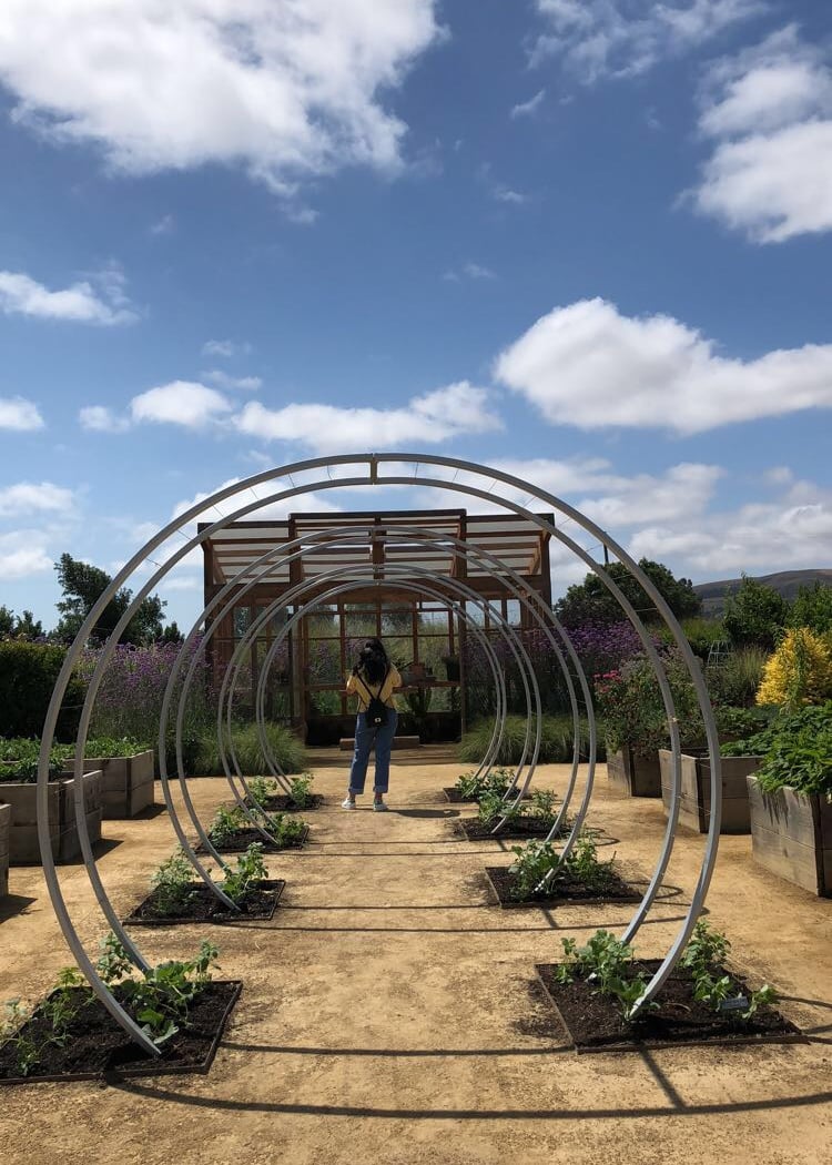 Sunset Test Gardens at Cornerstone Sonoma 1