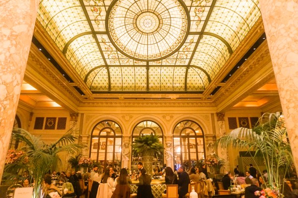 The Palm Court 4