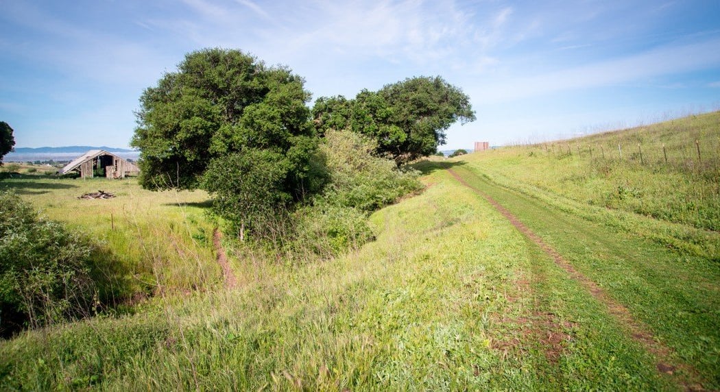 Newell Open Space 2