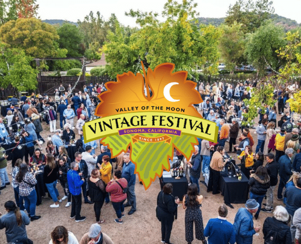 Sonoma Valley Vintage Festival 1