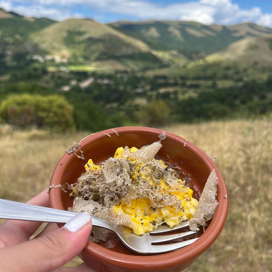 Wild Foods Truffle Hunt 3