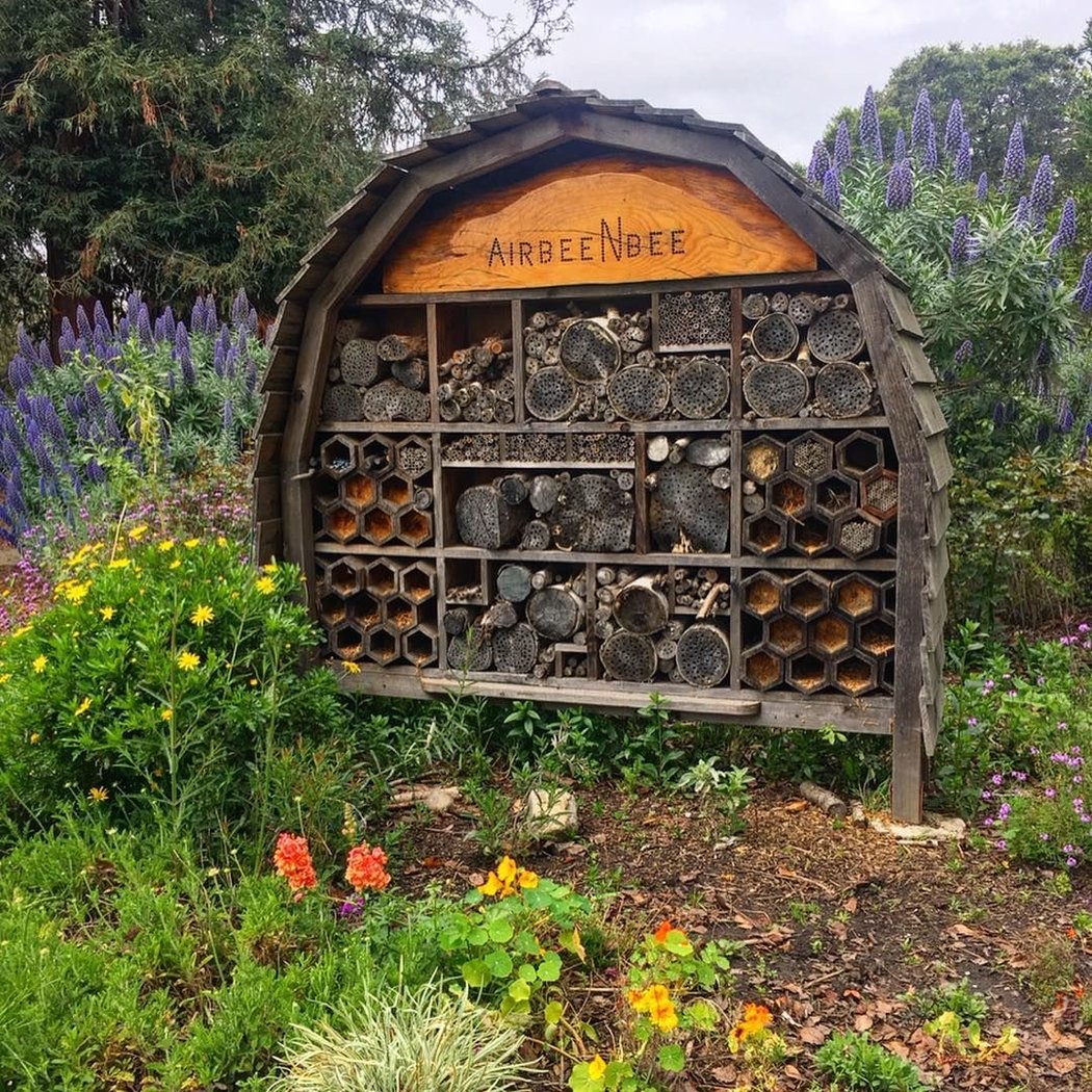 Bee Hotel Garden 1