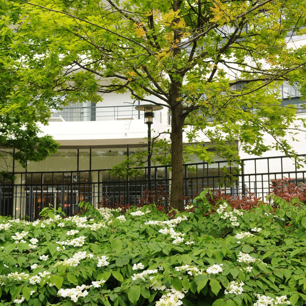 Millennium Park, Courbevoie 2