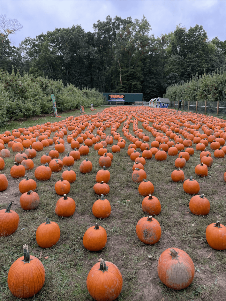 Demarest Farms 1