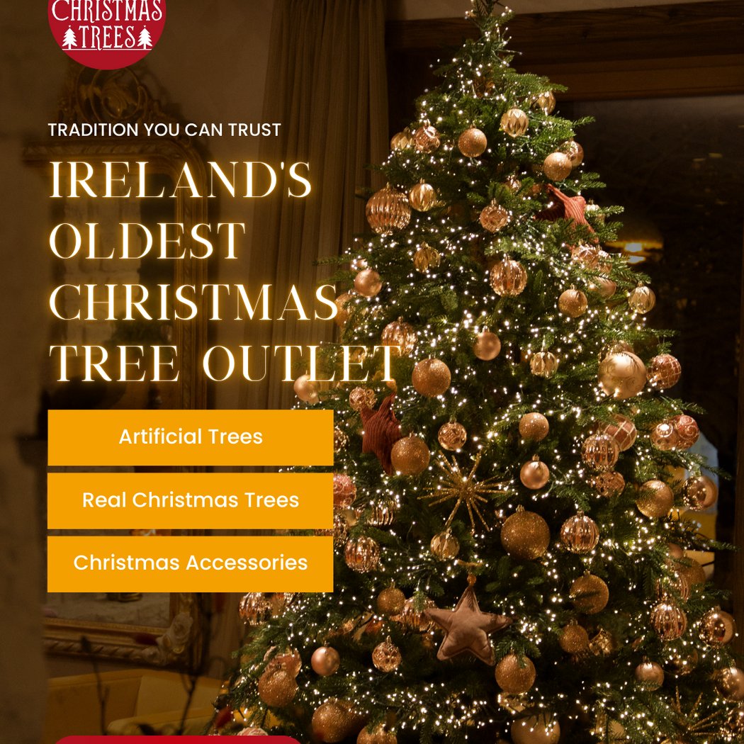 Irish Christmas trees 1