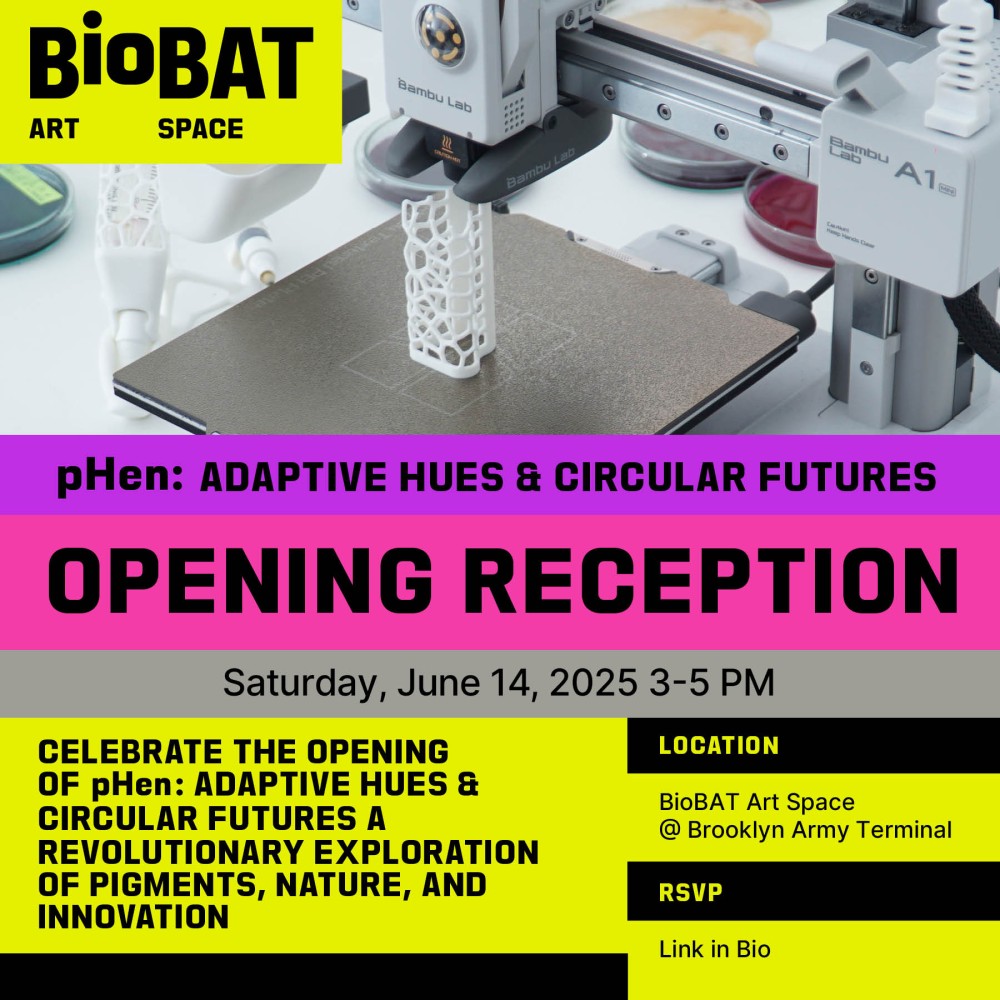 PHEN: Adaptive Hues & Circular Futures 1