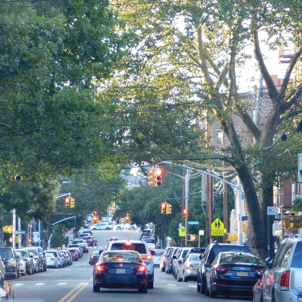 Prospect Lefferts Gardens 3