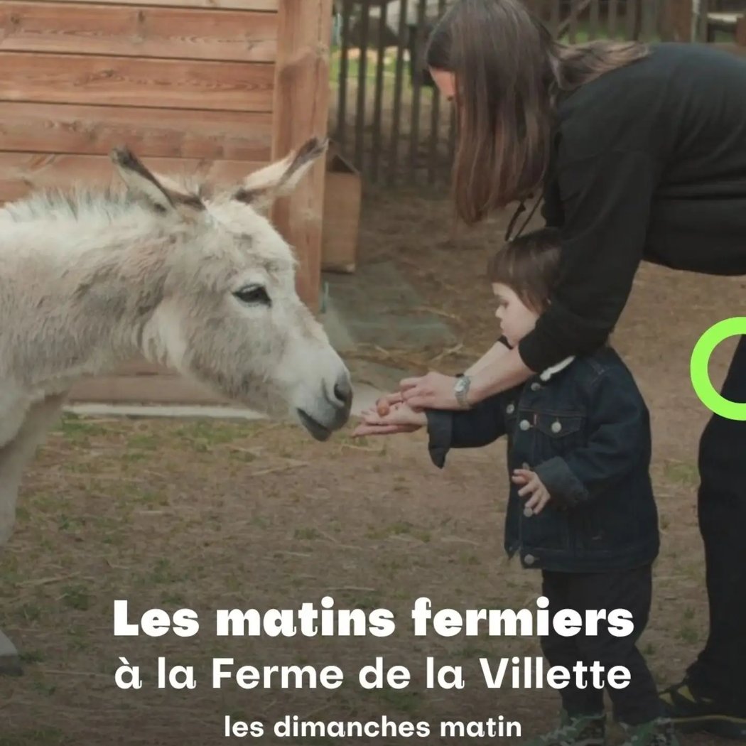 Les Matins Fermiers