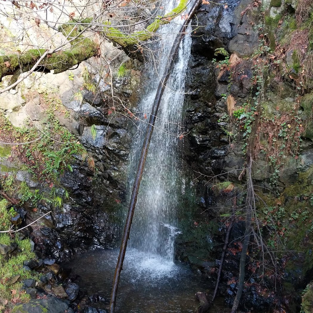 Morses Gulch 1
