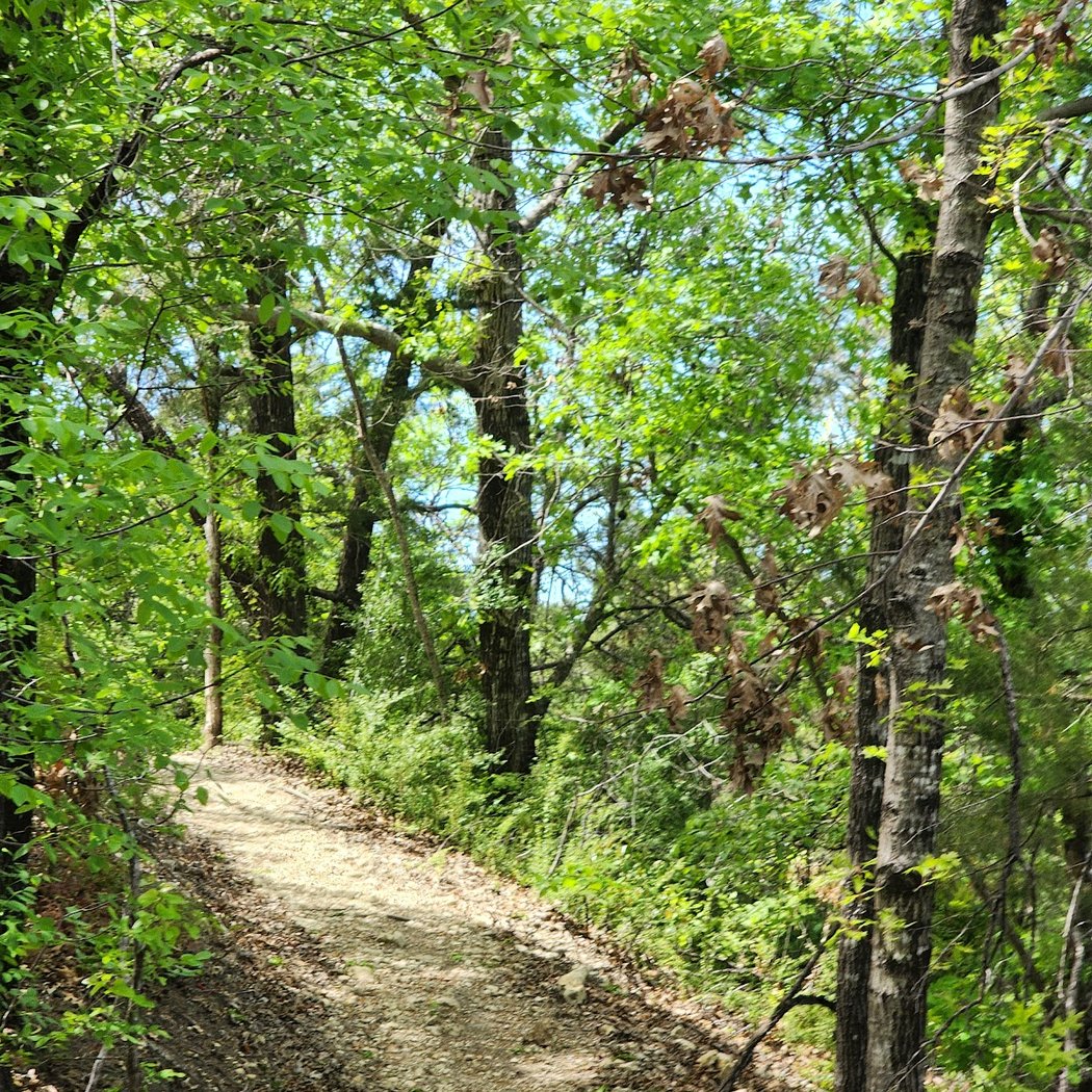 Tandy Hills Natural Area / Stratford Nature Area 4