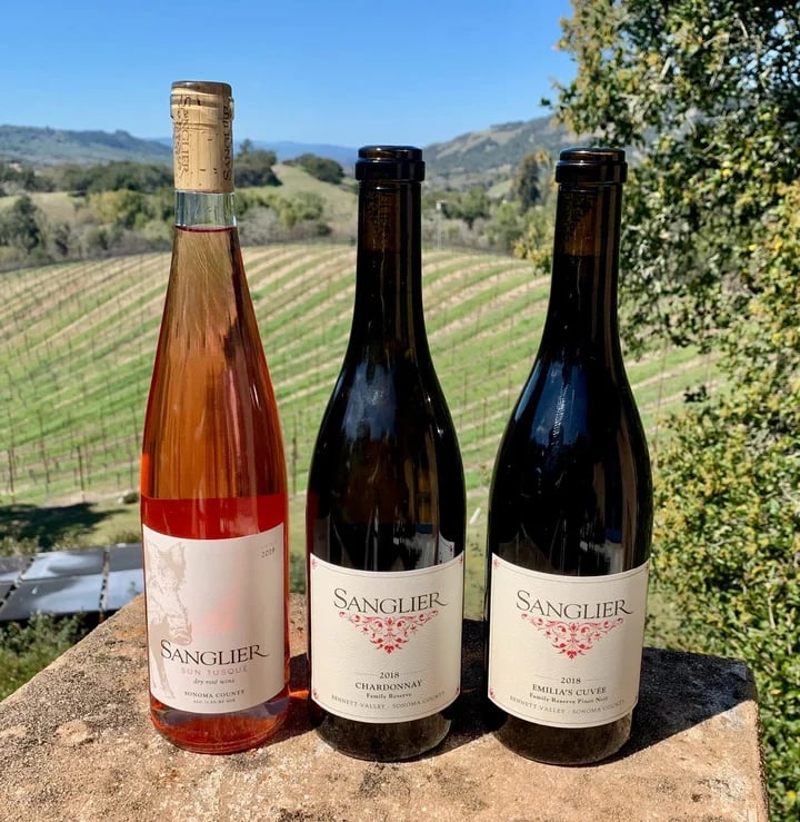 Sanglier Cellars Tasting and Tours 1