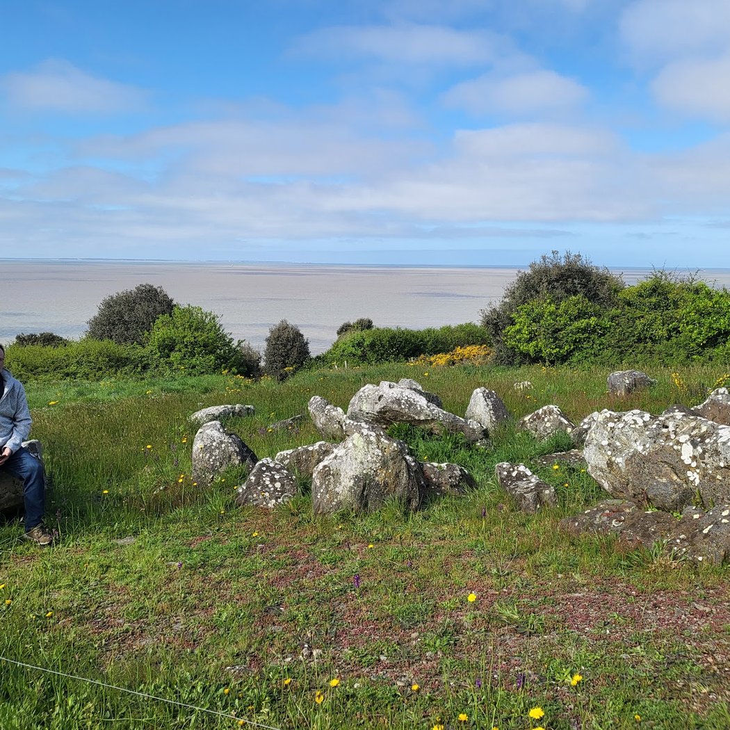 Dolmen du Prédaire 2