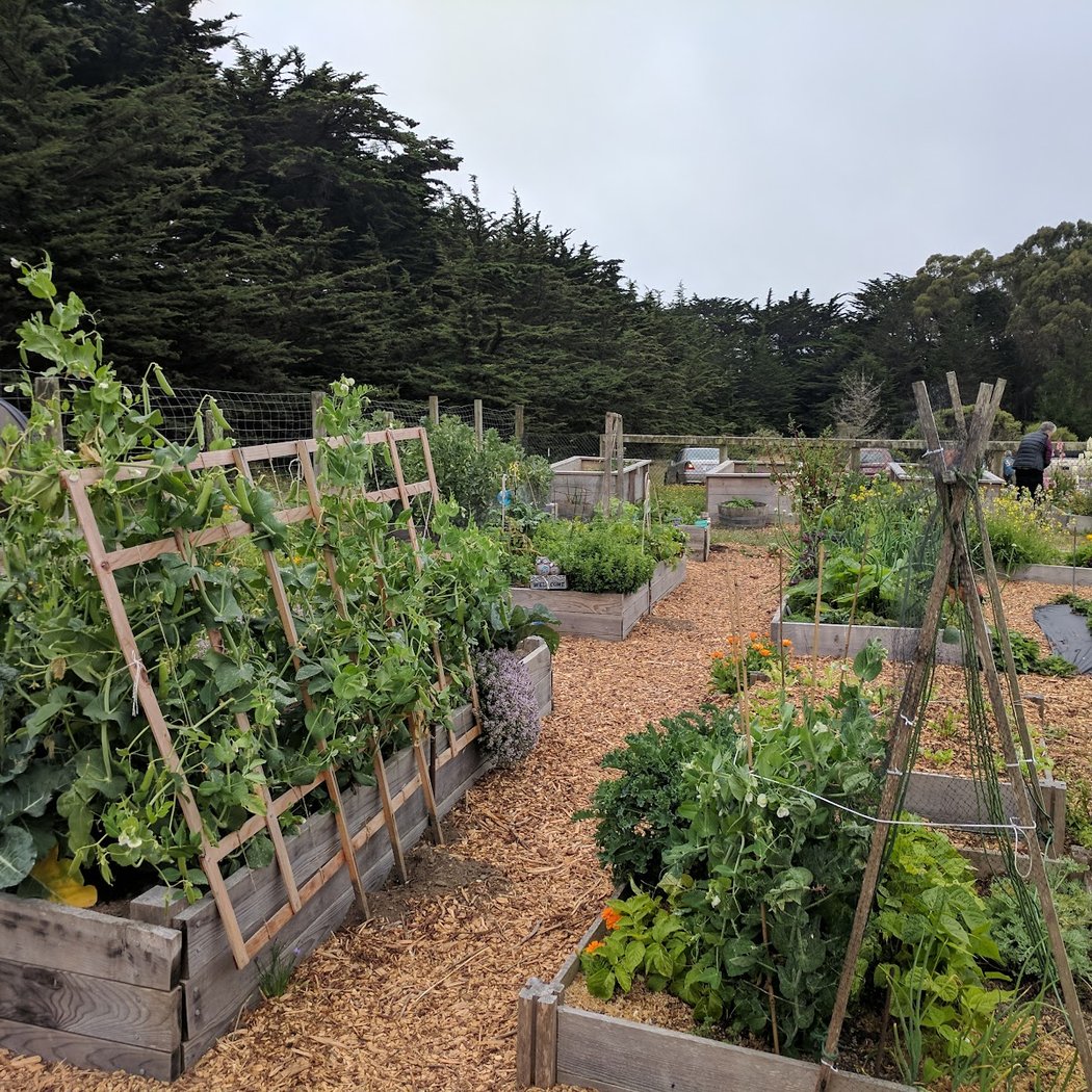 Bodega Bay Community Center 3