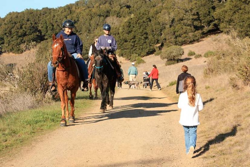 Rush Creek Preserve 2