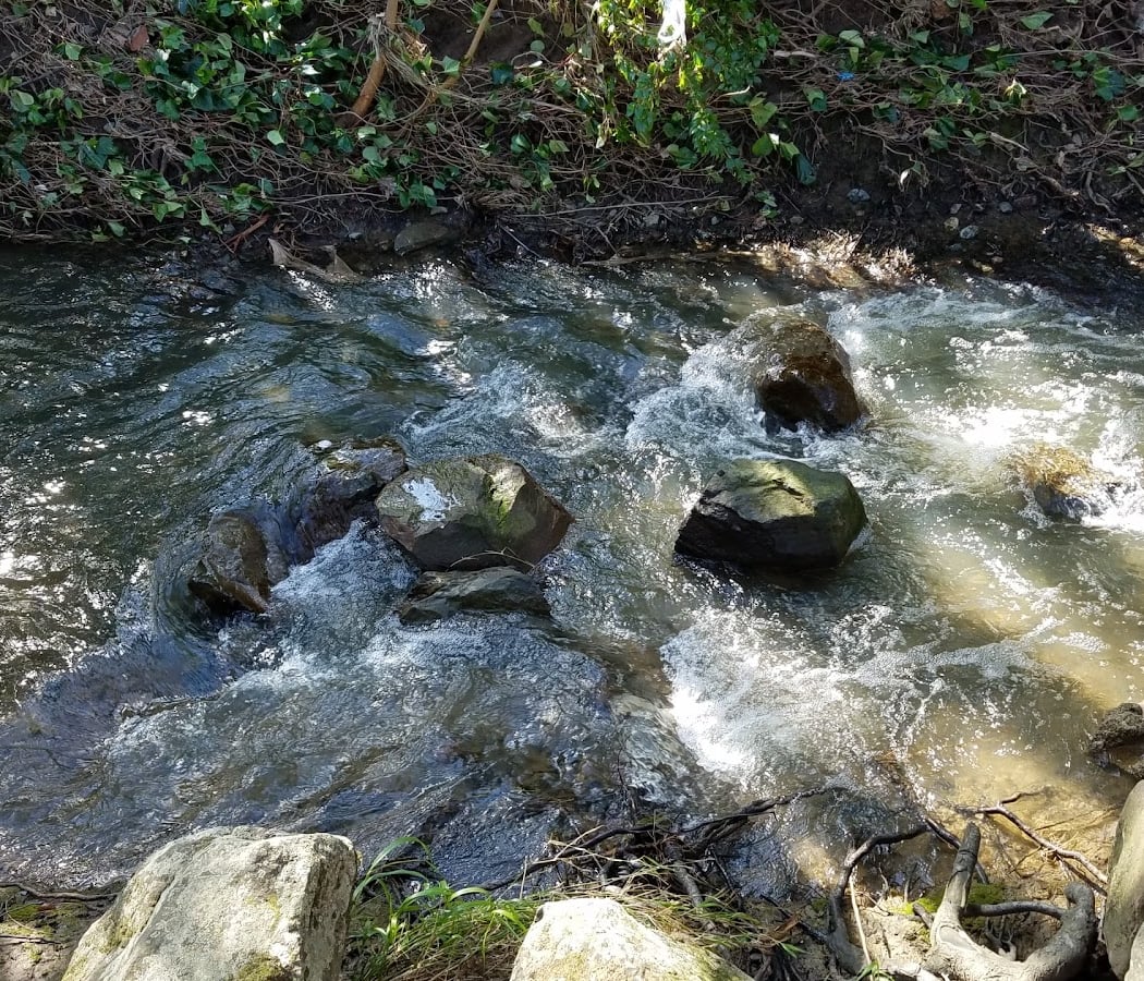 Markham Regional Arboretum 3