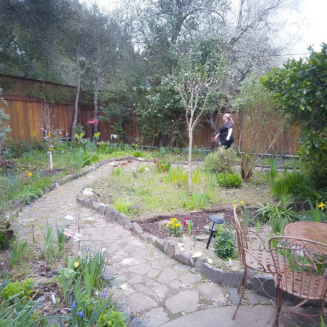 Hummingbird Garden Retreat 1