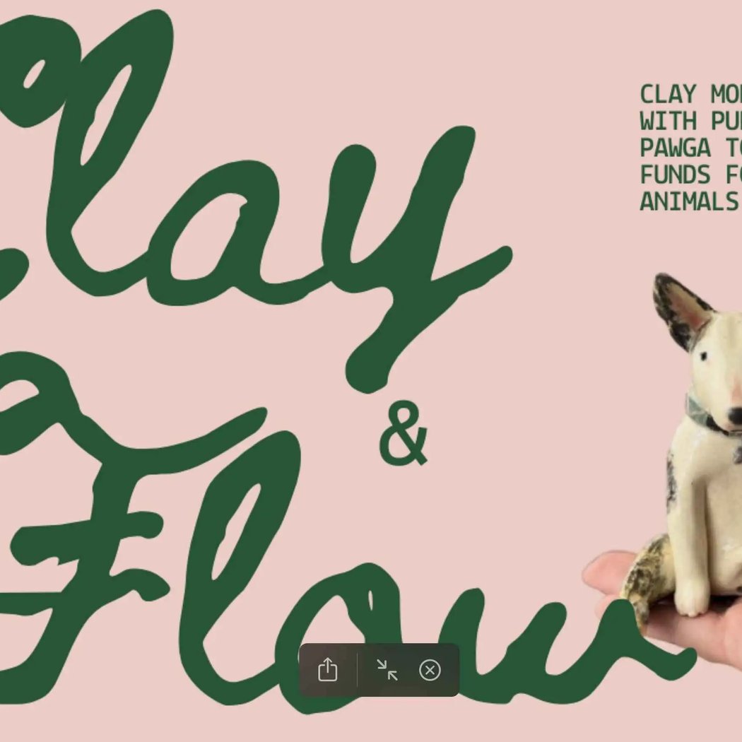 Bangalore Clay and Flow with Puppies 1