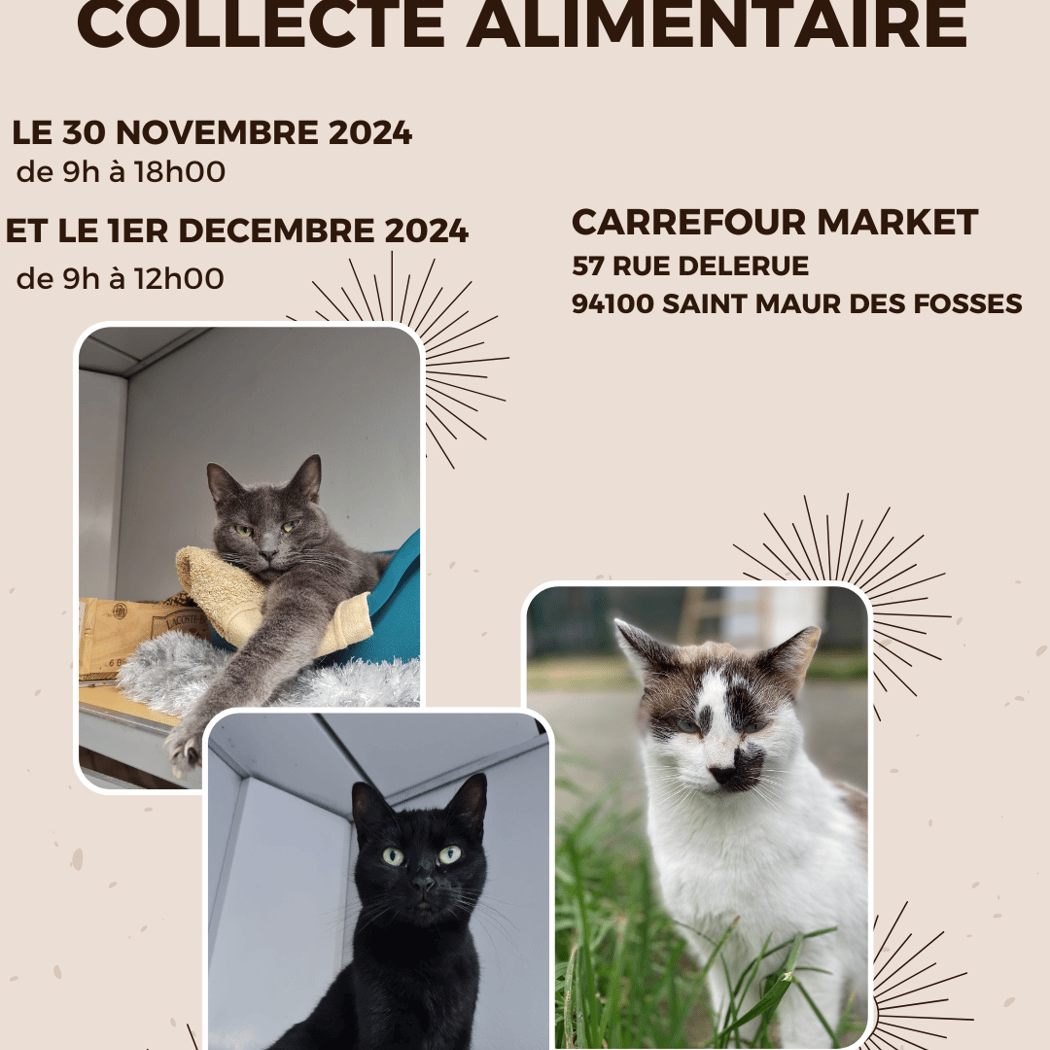 Collecte alimentaire 1