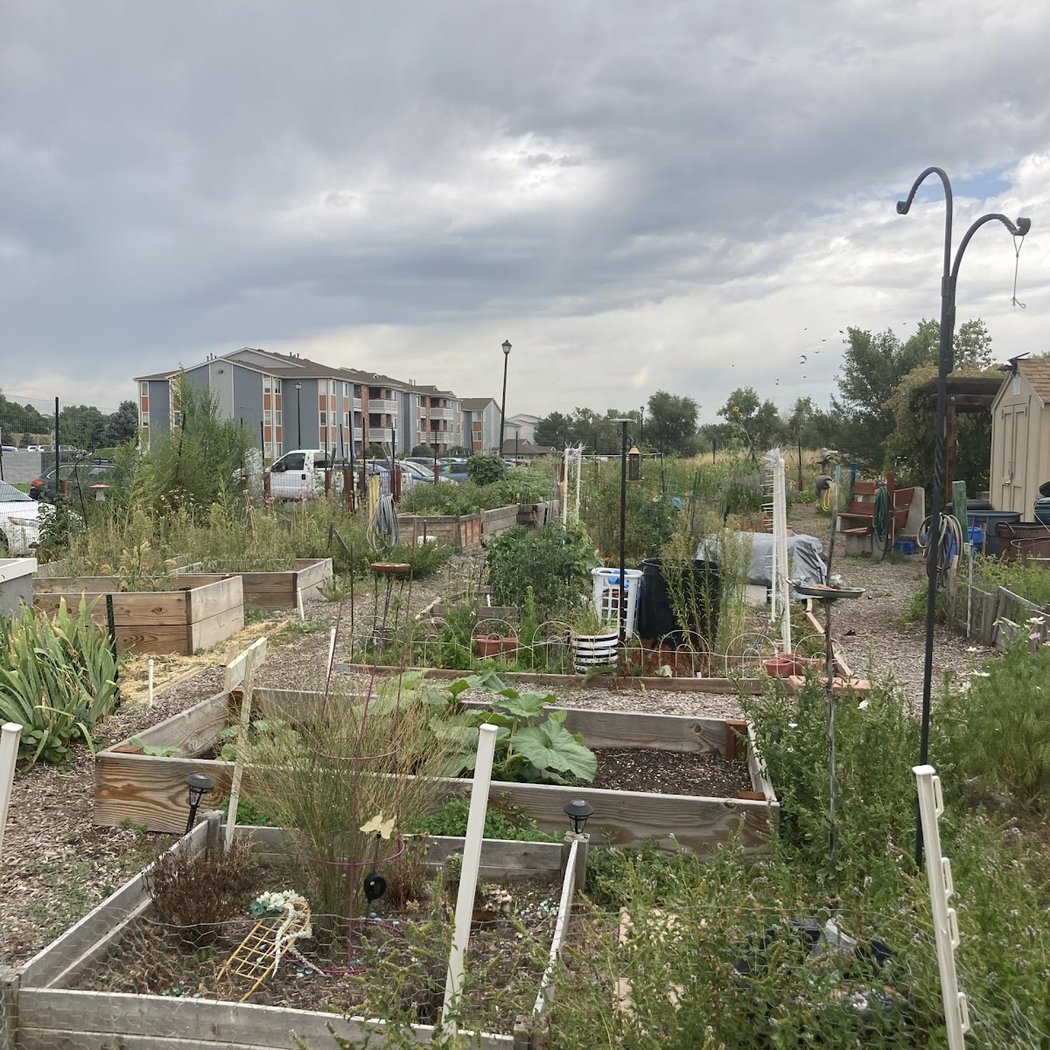 Wild Sage Community Garden 2