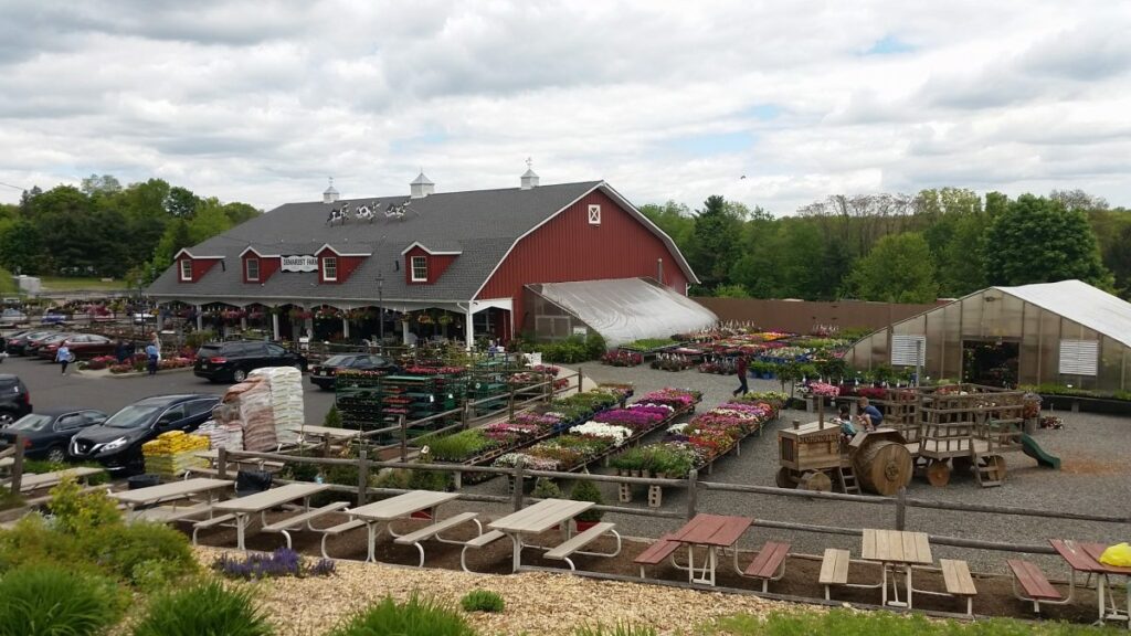 Demarest Farms 3