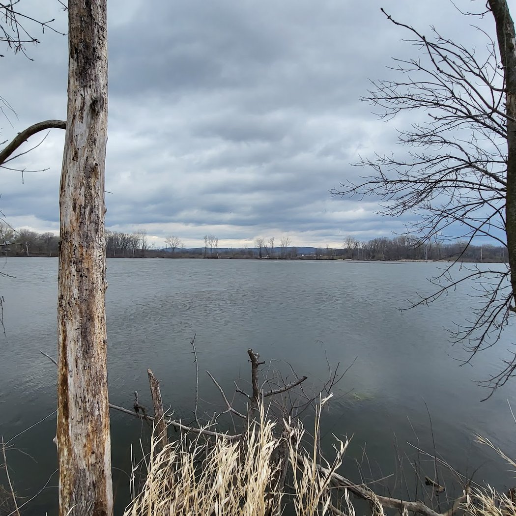 Marsh Loop Trailhead 2