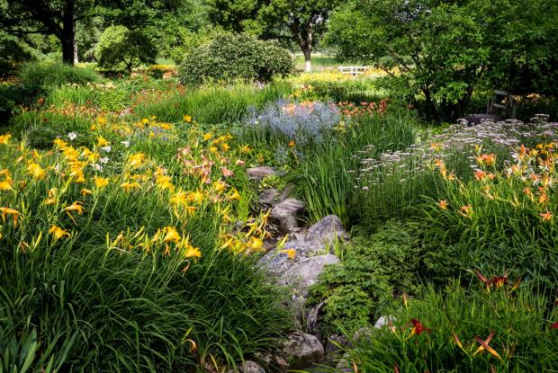 Flowery Brook 2