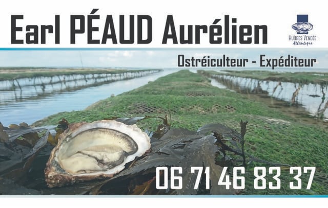 Huîtres de Bouin - Péaud Aurélien 1