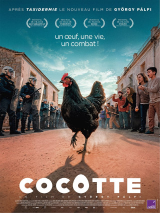 COCOTTE 1