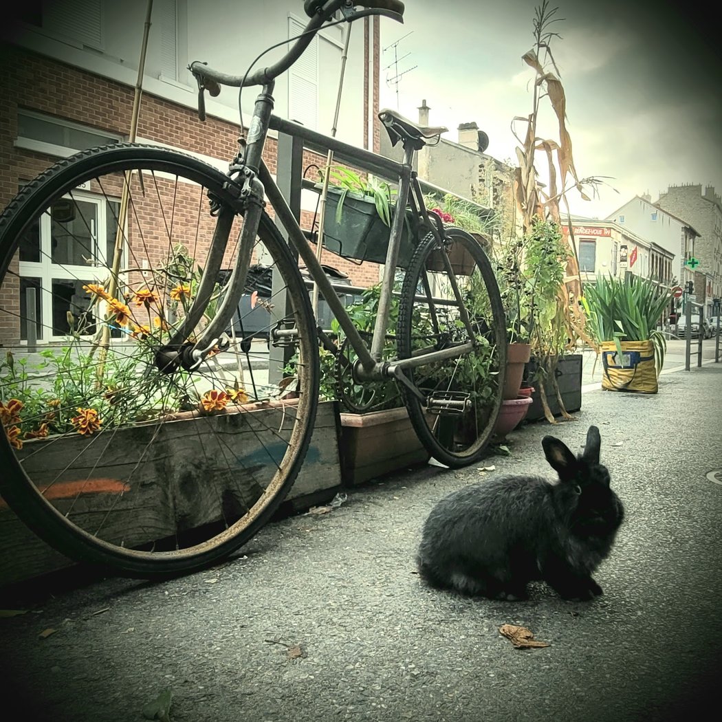 Au Vieux Vélo Bagnolet 2