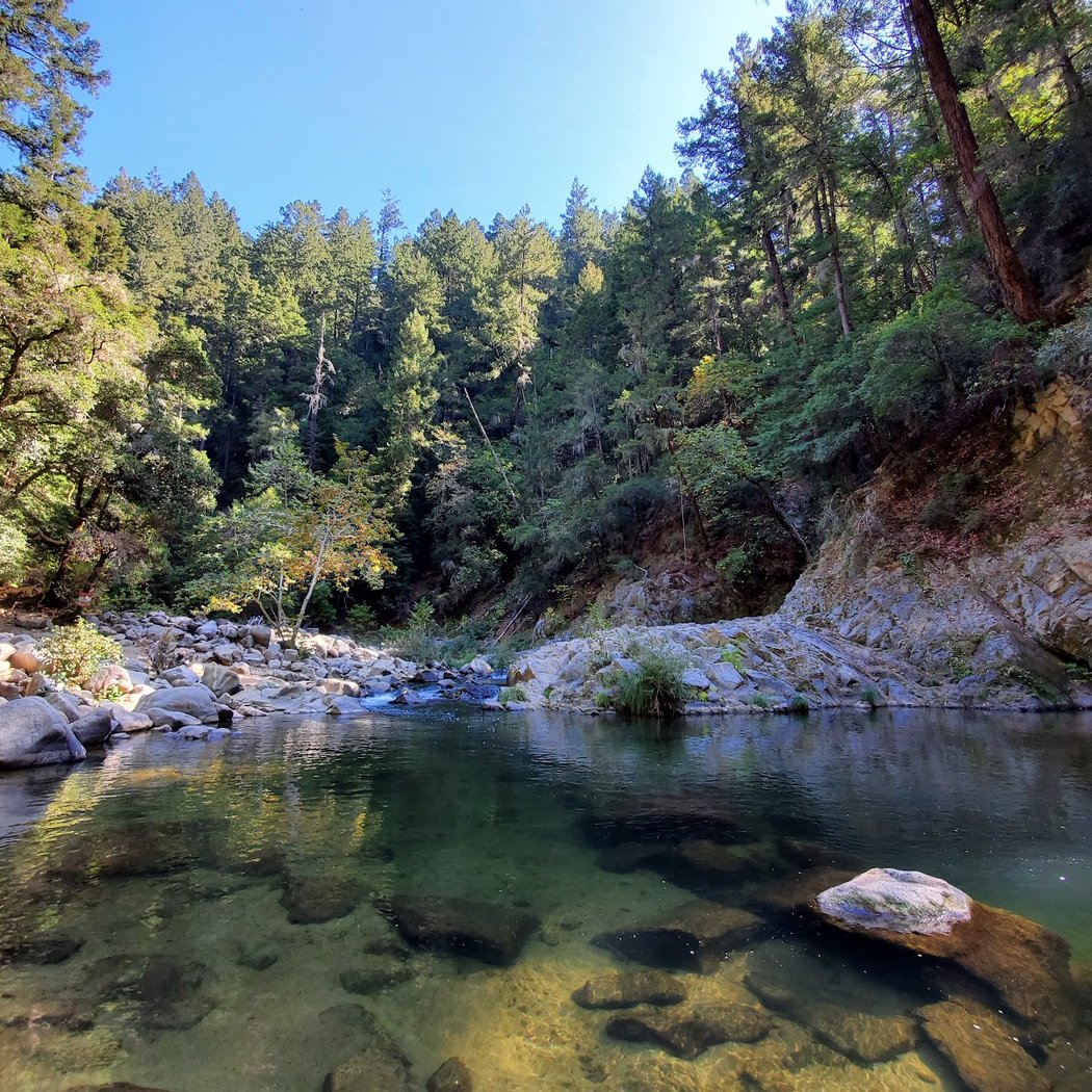 Garden of Eden - Henry Cowell Redwood State Park 1