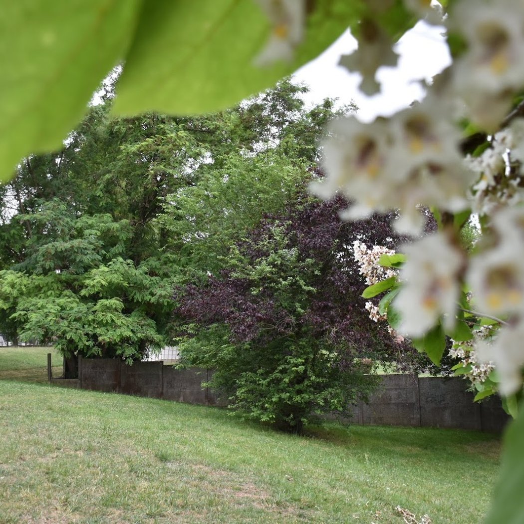 Parc Georges-Clemenceau 3