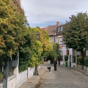 Belvédère de Belleville 2