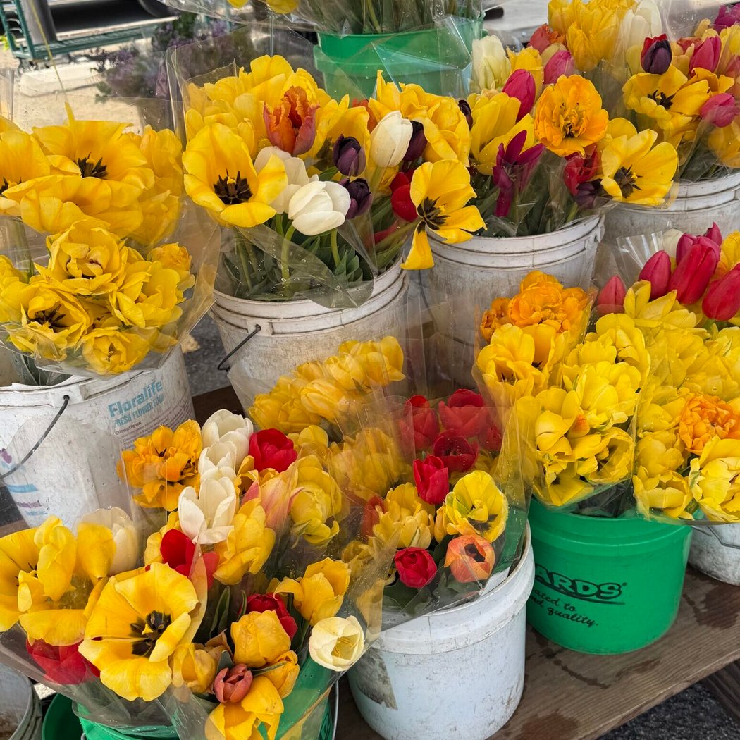 Downtown Evanston Farmers Market 1
