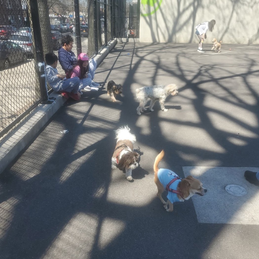 Travers Dog Run 1